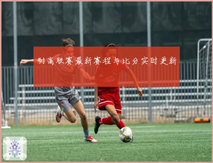 耐高联赛最新赛程与比分实时更新