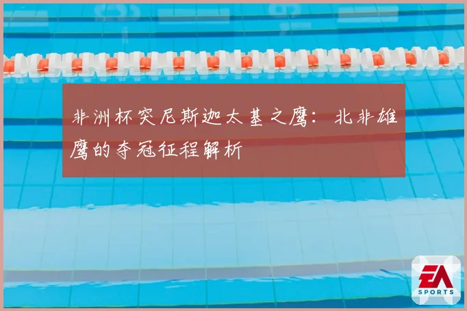 非洲杯突尼斯迦太基之鹰：北非雄鹰的夺冠征程解析