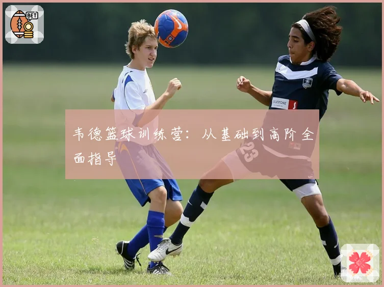 韦德篮球训练营：从基础到高阶全面指导