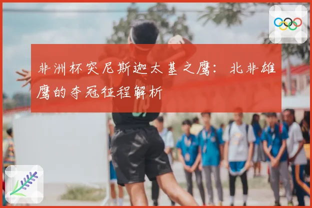 非洲杯突尼斯迦太基之鹰：北非雄鹰的夺冠征程解析