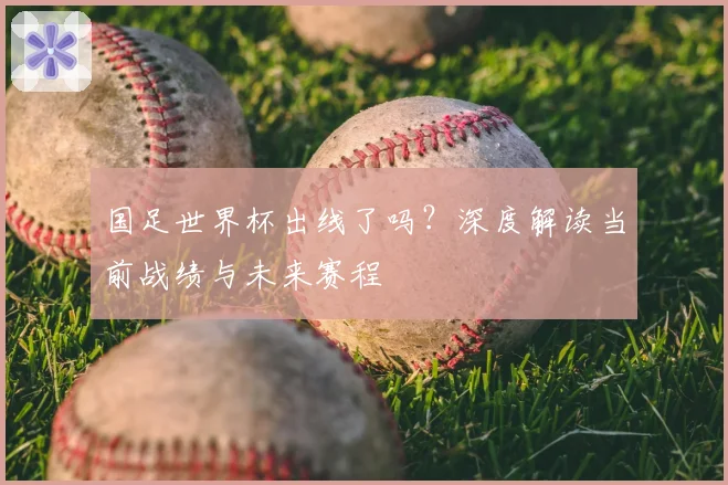 国足世界杯出线了吗？深度解读当前战绩与未来赛程