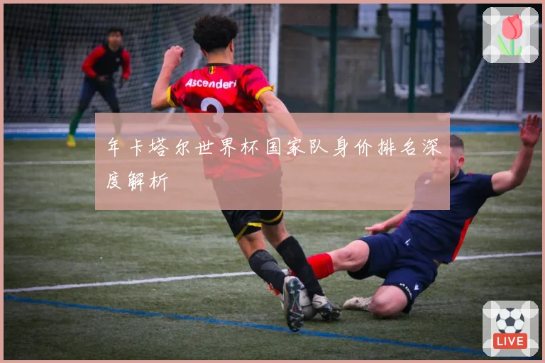 年卡塔尔世界杯国家队身价排名深度解析