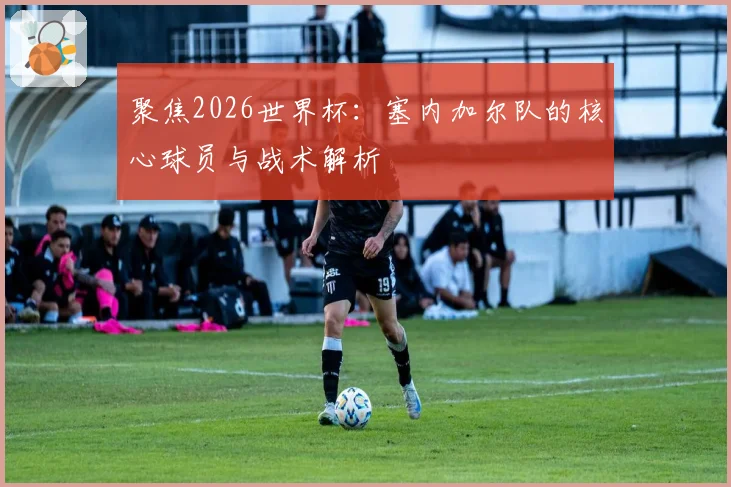 聚焦2026世界杯：塞内加尔队的核心球员与战术解析