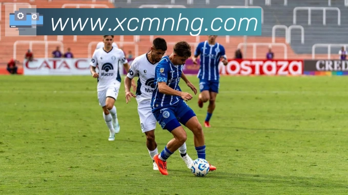 开云app平台生态图