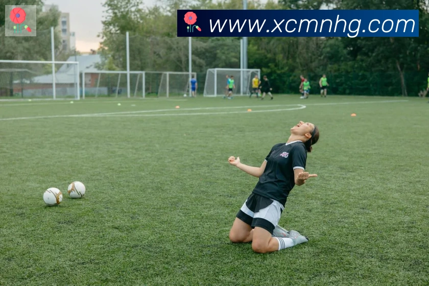 多媒体互动体验