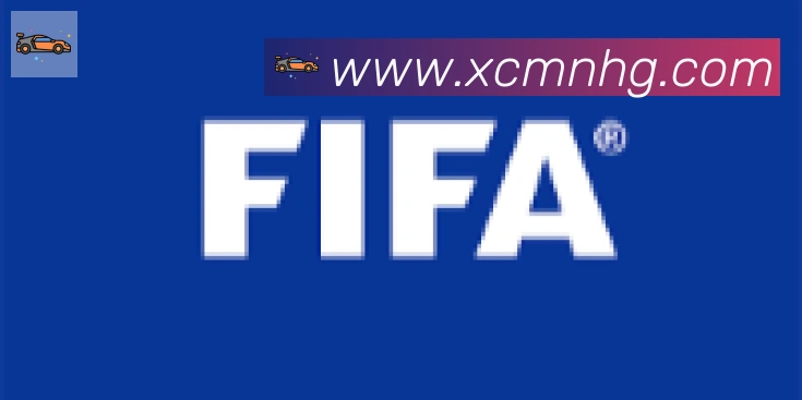 开云app合作伙伴